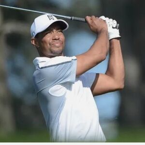 RARE L/XL TIGER WOODS NIKE GOLF ADULT Vr-20XI FLEXFIT CAP/HAT 726287-100